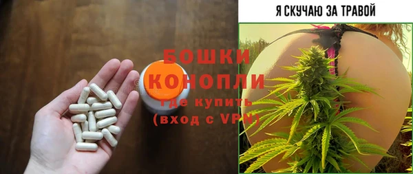 тгк Каменногорск