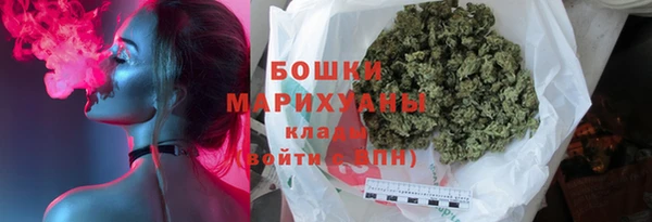 тгк Каменногорск