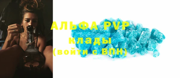 тгк Каменногорск