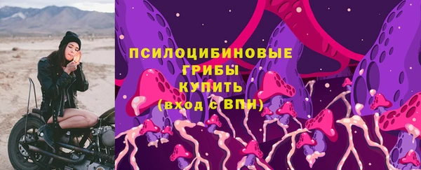 apvp Каменск-Шахтинский