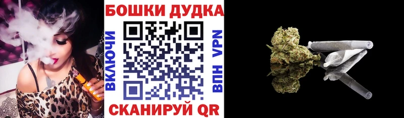 Купить закладки  Елабуга  Каннабис индика 
